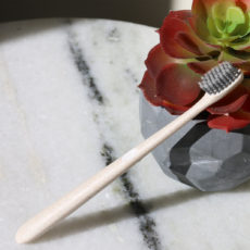 The One and Only Toothbrush